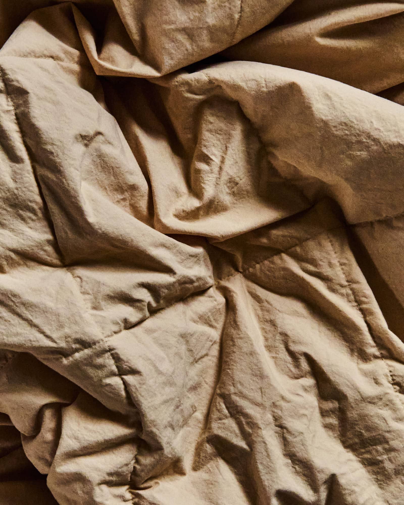 Down blanket Biscuit